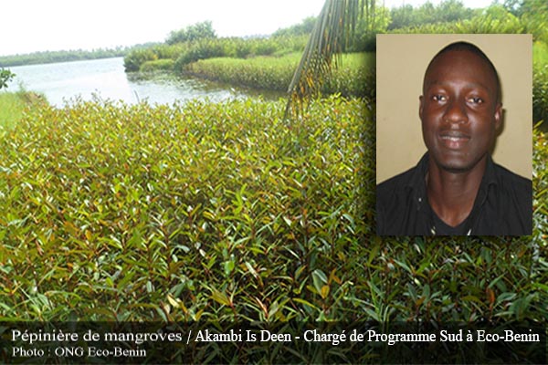 Oecologi@ - Benin - Mangrove _Is Deen 