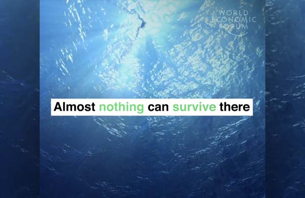 Zone morte en Mer d'Arabie - (capture d'écran)