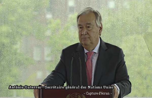 Antonio - apture d'écran