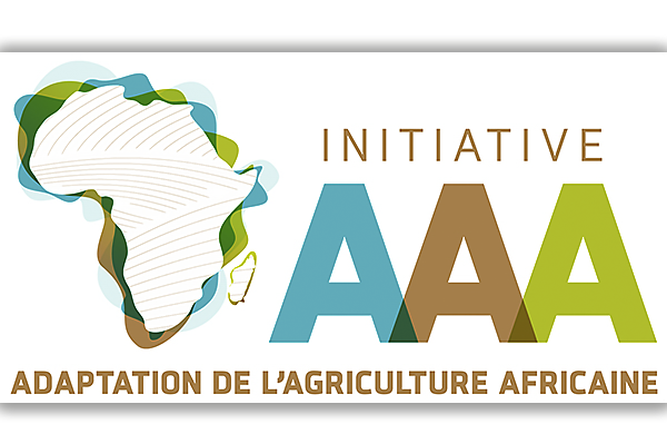 Logo : Initiative pour l’Adaptation de l’Agriculture Africaine