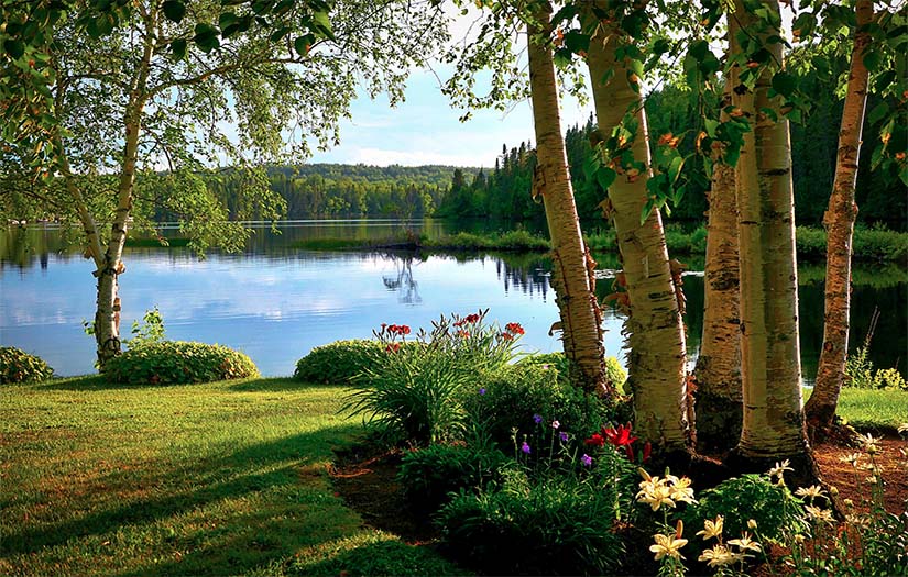 Lac - Québec 