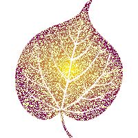 Ecologias - feuille